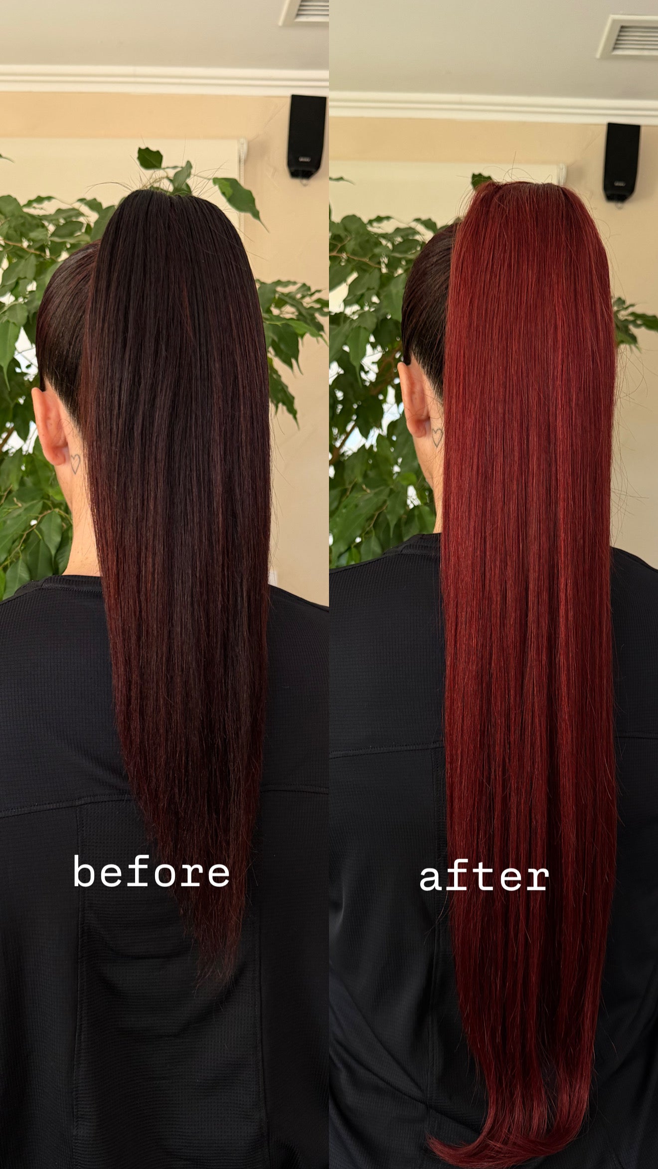 PONYTAIL MAHOGANY