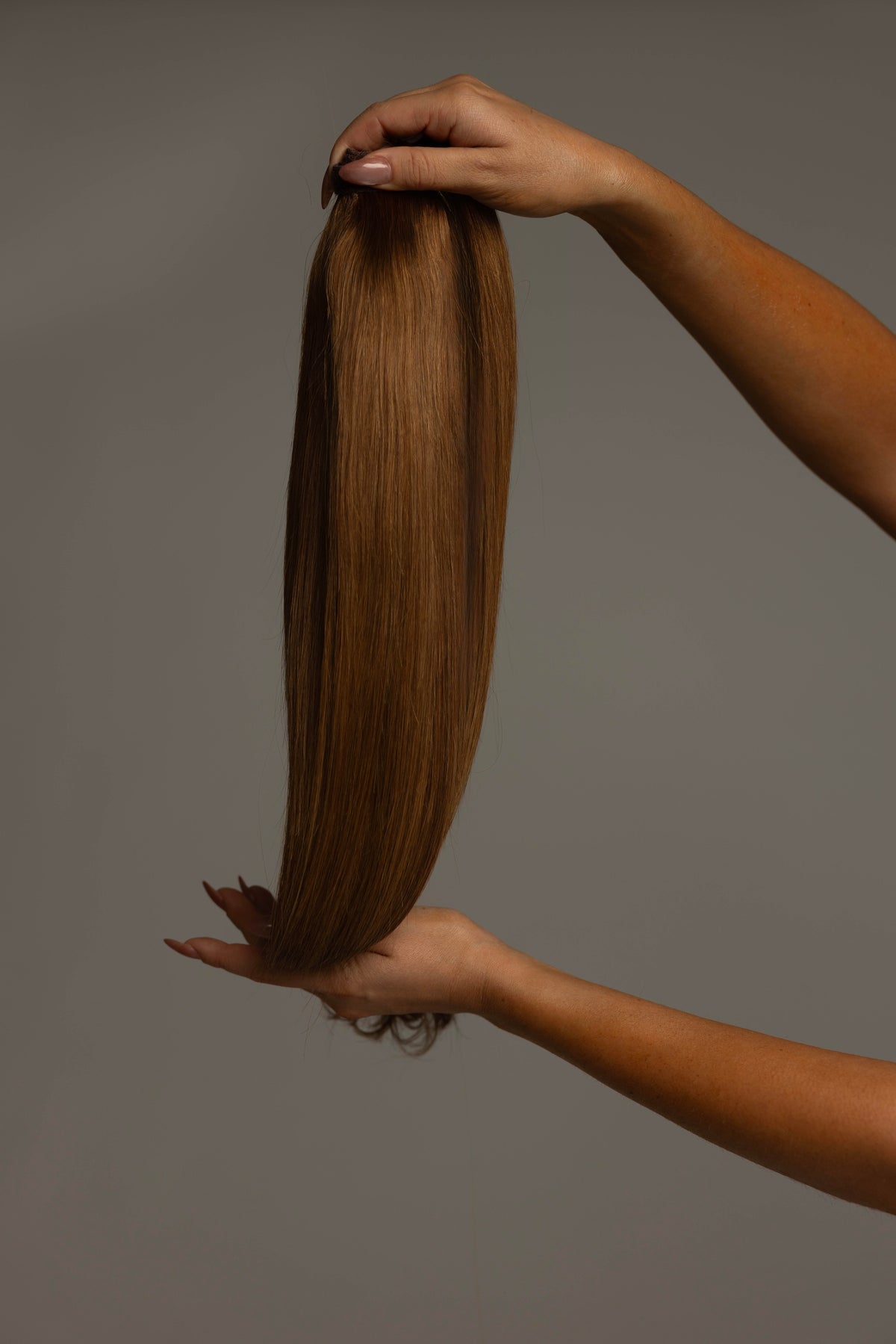 PONYTAIL CHESTNUT