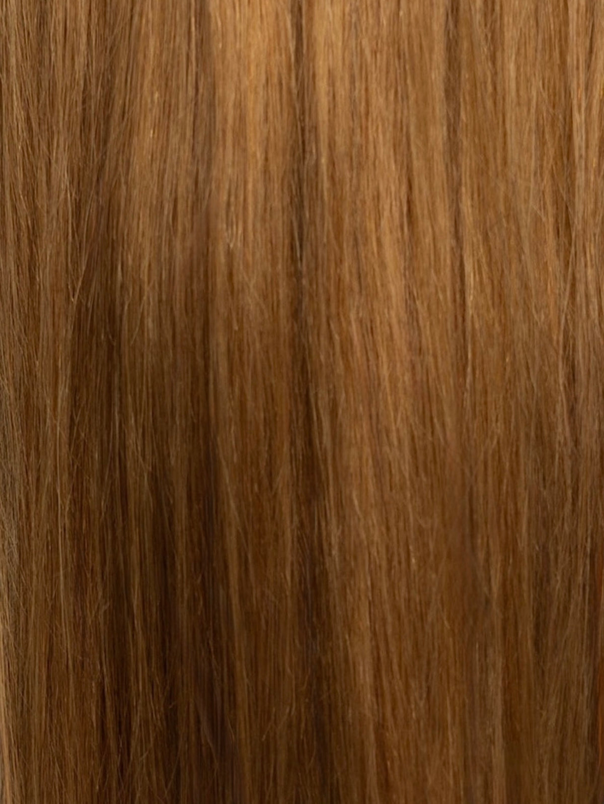 PONYTAIL CHESTNUT