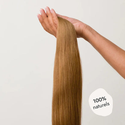 PONYTAIL CHESTNUST