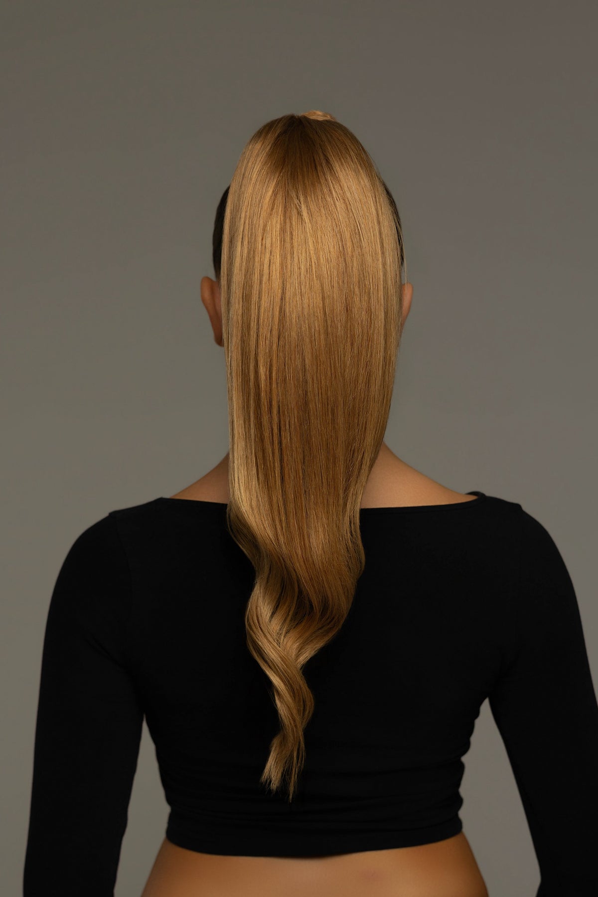 PONYTAIL CHESTNUT