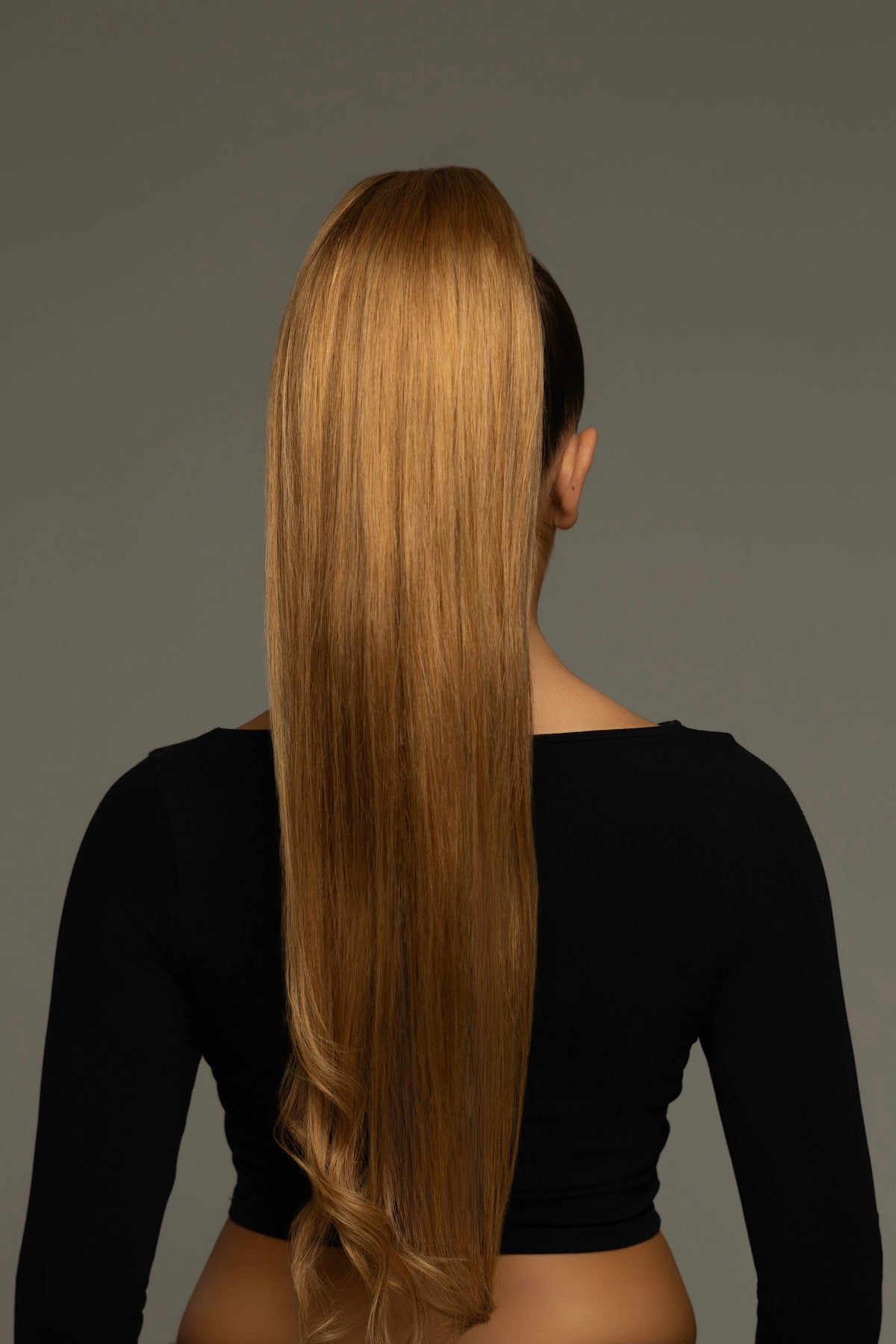 PONYTAIL CHESTNUT