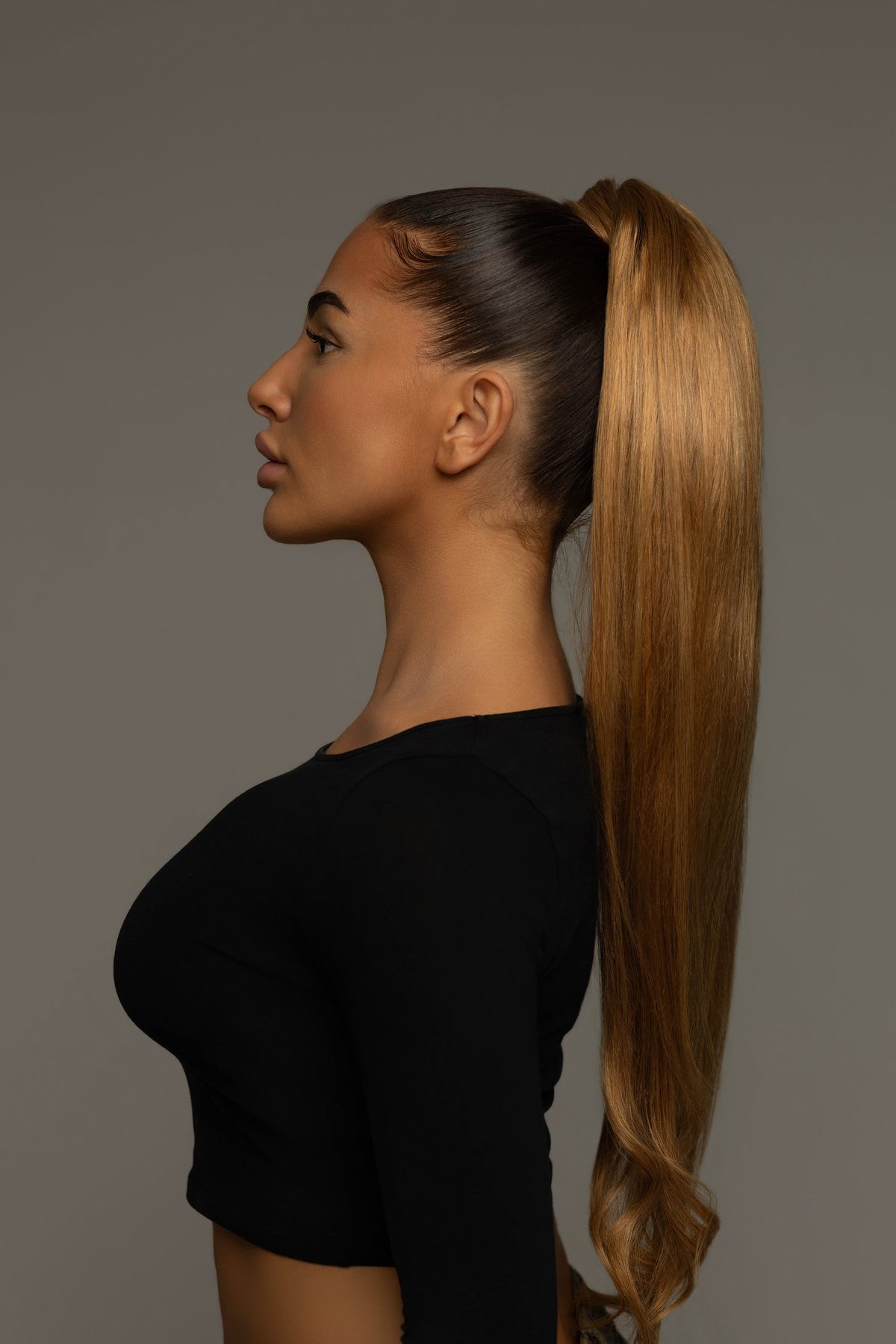 PONYTAIL CHESTNUT