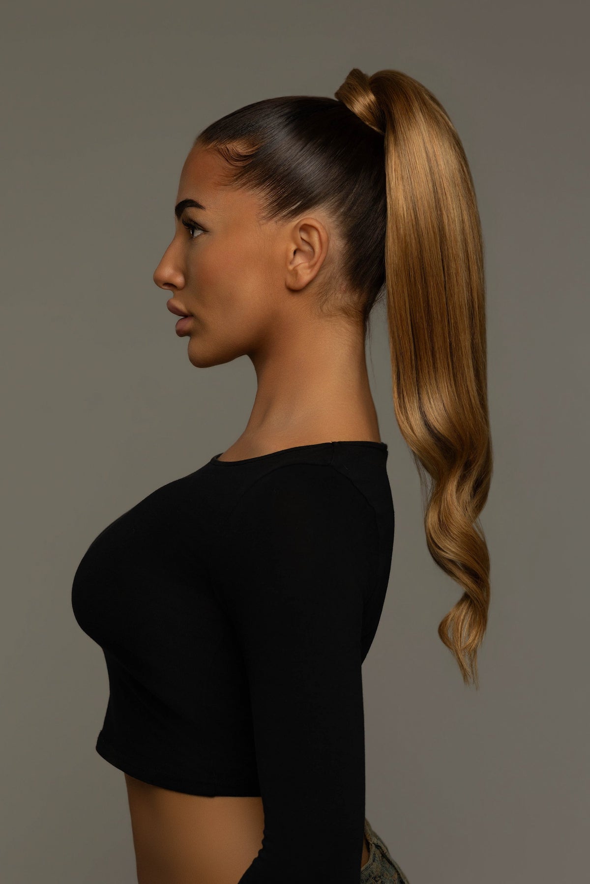 PONYTAIL CHESTNUT