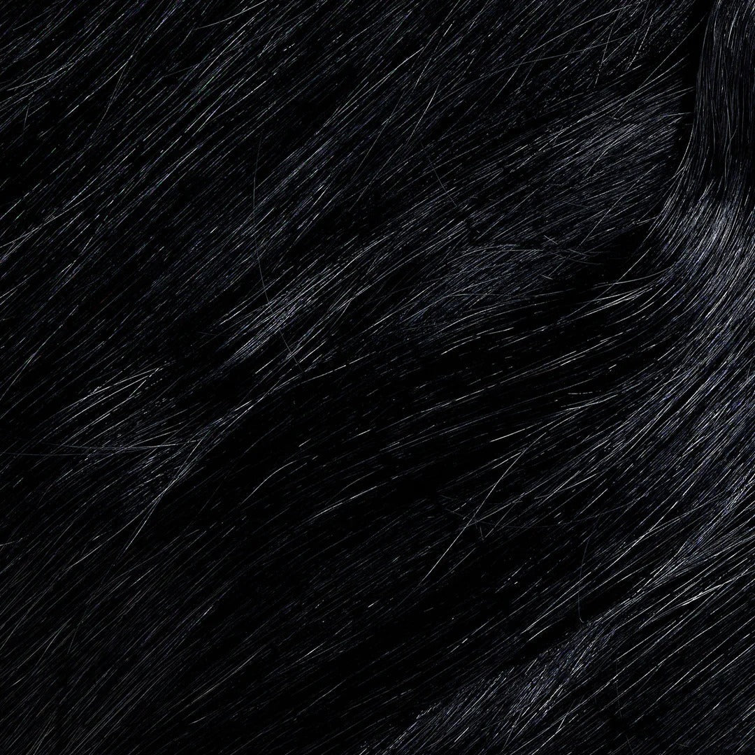 PONYTAIL BLACK